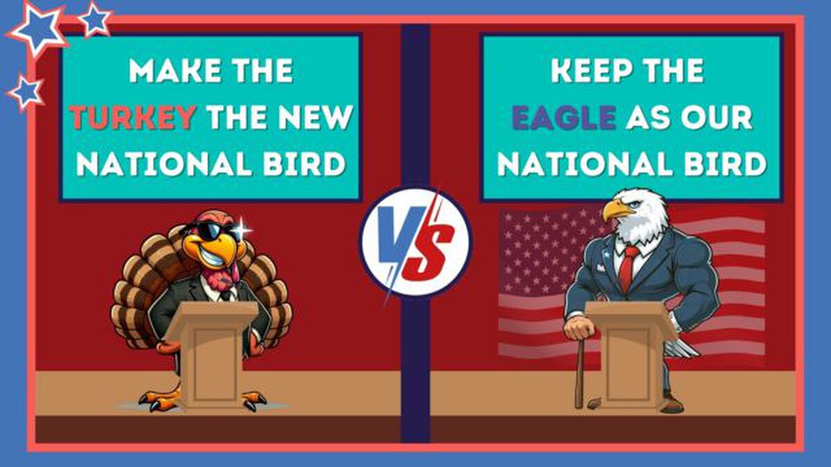 Debate Night - Animal Edition image number null